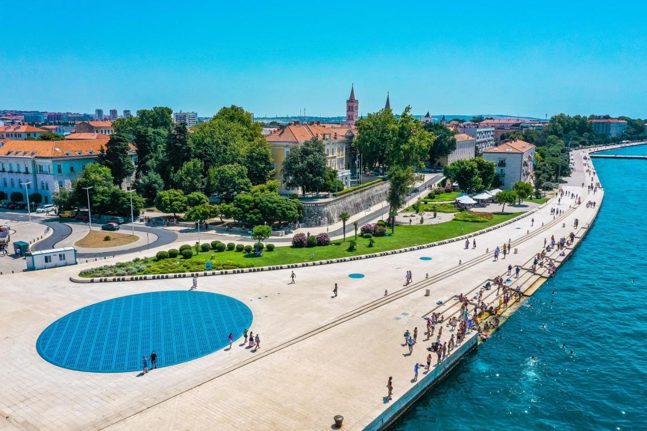 Elly Zadar